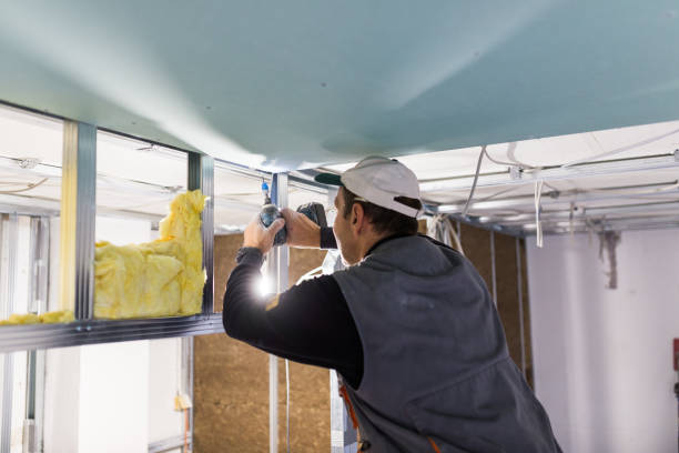 Best DIY Insulation Kits and Guidance in Jerseyvle, IL