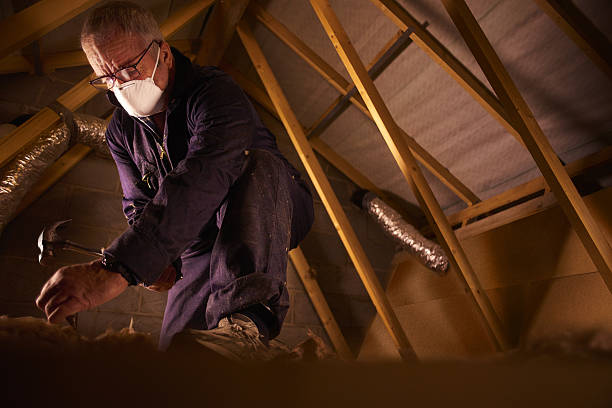 Best Cellulose Insulation in Jerseyvle, IL